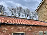 Roofing and Chimneys