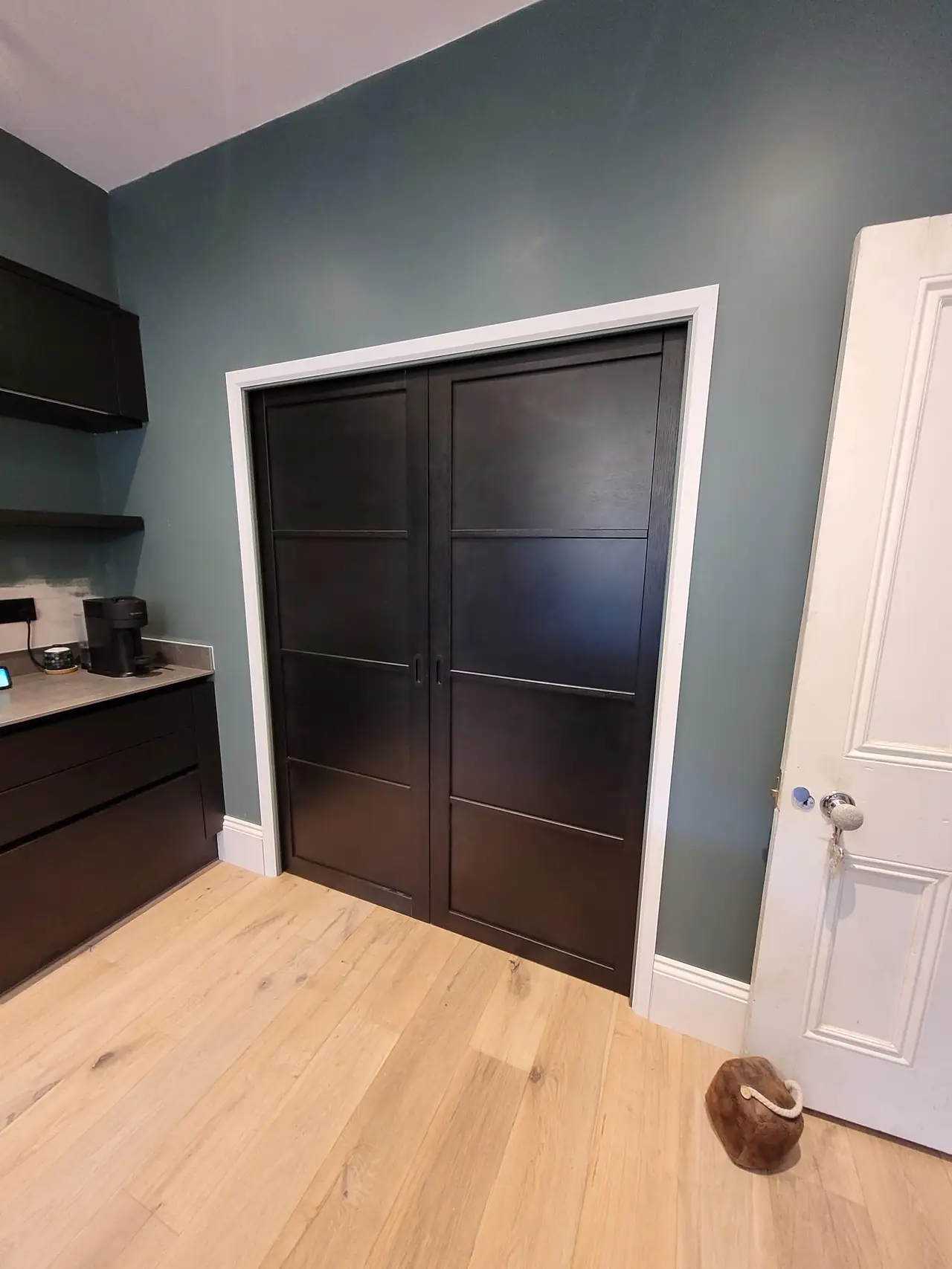 Room with dark door and oak floor